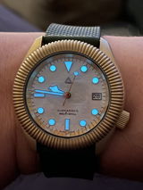 Steven W. review photo