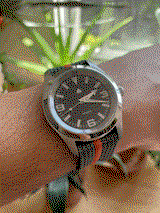 Clark T. review photo