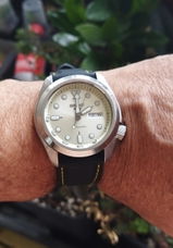 david d. review photo