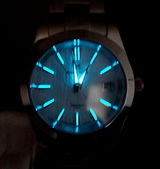 Shane W. review photo