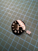 D.D. review photo