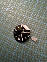 D.D. review photo