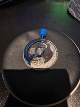 Ritchie P. review photo