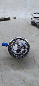 Borislav S. review photo