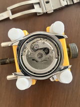 S. S. review photo