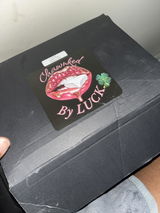 Binks White review photo