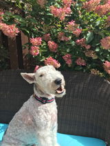 Paula V review photo