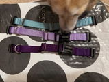 Maggie W review photo