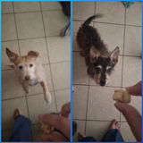 Bridget Schulke review photo