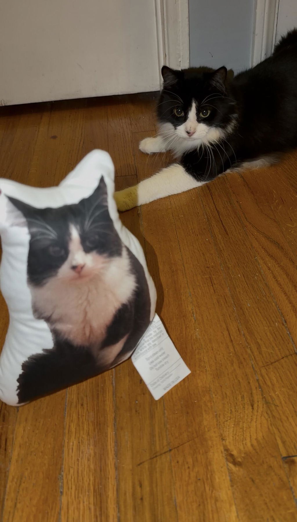 Fur-Ever Friend Pillow™