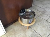 Frankey review photo