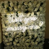 Scott review photo