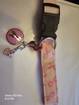 Mira Scot review photo