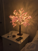 Makayla K. review photo