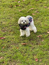 Renate S. review photo