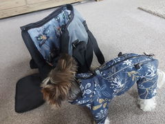 Review picture