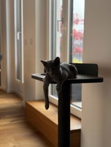 Luca S. review photo