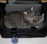 Natascha review photo