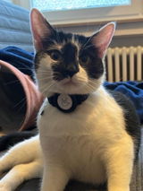Gabi review photo