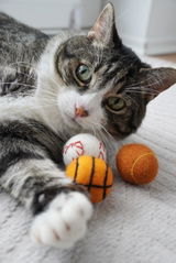 Tanja W. review photo
