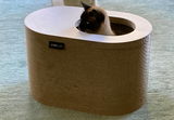 Beate P. review photo
