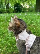 Ronja review photo