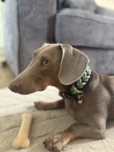 Antonie review photo