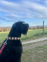 Adelya Fingerhut review photo