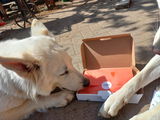 Aline S. review photo
