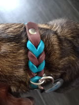 Verena H. review photo