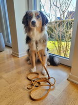 Dini review photo