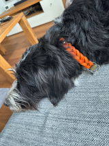 Eszter S. review photo