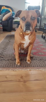 Cornelia S. review photo