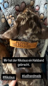 Pepper H. review photo