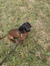 Susann P. review photo