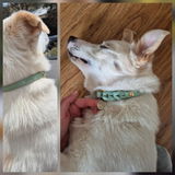 Lisann M. review photo