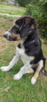 Josephine review photo