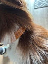 Meike review photo