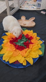 Amy C review photo
