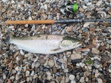 Astro Inline Lure