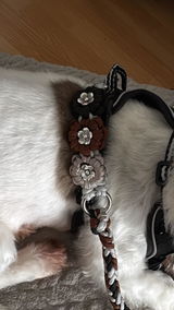 Mix & Match Leine (Starterset)
