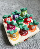 Karol review photo