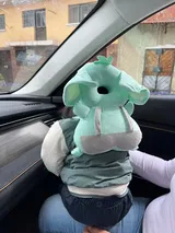 Dombay review photo