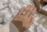 Donna S. Zimmerman review photo