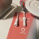 TheDogsCar review photo