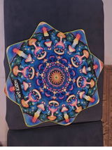 Shourya Taneja review photo