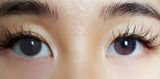 Shion review photo