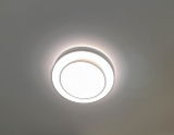 Whitney review photo