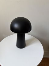 Ilya review photo