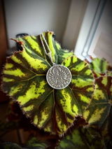 Nele S. review photo